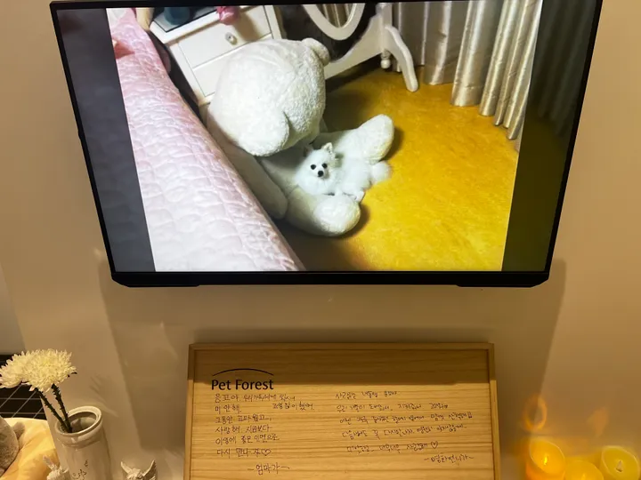 응꼬 보호자 후기 이미지